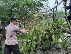 Diguyur Hujan dari Jumat Hingga Sekarang, Tiga Pilar Sekotong Pantau Situasi Dampak Cuaca Ekstrem