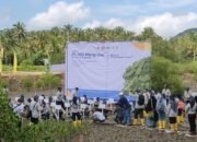 Road To Green Impact Days 2024 di Lombok Barat