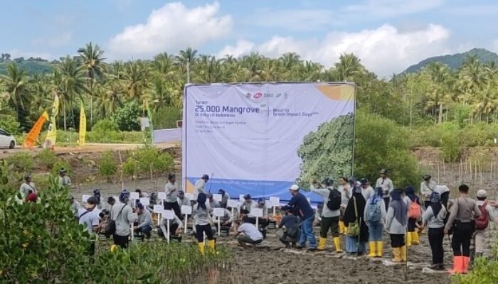 NTB Lakukan Penanaman Mangrove Kelima Kalinya, Bukti Nyata Upaya Mitigasi Perubahan Iklim