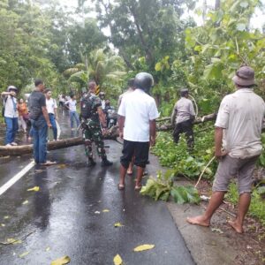 Pohon Tumbang dan Cuaca Ekstrem, Polsek Gerung Tanggap Hadapi Bahaya!