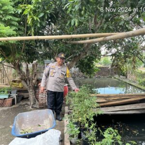 Dukung Program Ketahanan Pangan, Kasat Binmas Polres Bima Kota Sambangi Usaha Budidaya Ikan di Kelurahan Nungga