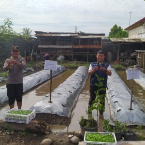 Bergizi di Lombok Barat: Program Pangan Baru untuk Masyarakat Desa