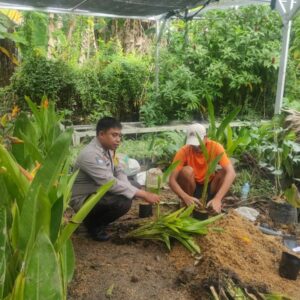 Polisi Ajak Warga Lombok Tanam Pangan di Pekarangan Rumah