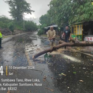 Polsek Rhee Polres Sumbawa Tanggap Bencana, Evakuasi Pohon Tumbang dan Bantu Korban