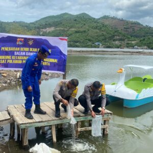 Dukung Penuh Ketahanan Pangan, Sat PolAirud Polres Bima Kota Lepas 10 Ribu Ekor Benih Bibit Ikan Bandeng
