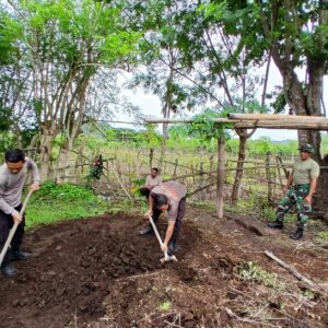 Wujudkan Tanaman bergizi Kapolsek Sekongkang bersama Forkopimcam gerakkan pemanfaatan pekarangan kosong