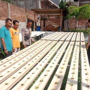 Bhabinkamtibmas Polsek Rasanae Barat Tinjau Perkembangan Tanaman Hidroponik di Kelurahan Monggonao