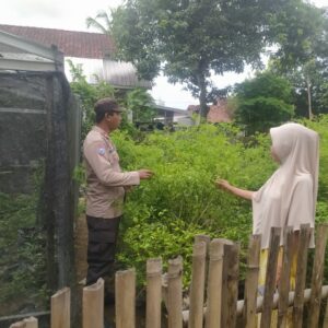 BKTM Desa Ranggo Tinjau Pemanfaatan Lahan untuk Ketahanan Pangan Nasional Menuju Indonesia Emas 2024
