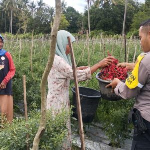 Pemantauan Pengolahan Lahan Pekarangan dalam Mendukung Ketahanan Pangan Nasional