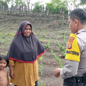 Kegiatan Bhabinkamtibmas Desa Doropeti Polsek Pekat AIPDA Firdaus dalam Pemantauan Program Ketahanan Pangan Nasional