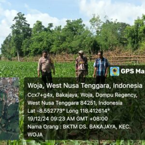 Polri Pantau Lahan Jagung di Desa Bakajaya untuk Dukung Ketahanan Pangan Nasional