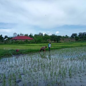 Polsek Manggelewa Dorong Program Ketahanan Pangan Nasional Melalui Silaturahmi dan Sosialisasi di Desa Doromelo