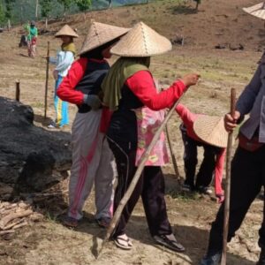 Bhabinkamtibmas Polsek Lambu Pantau Lahan Pangan Bergizi untuk Dukung Ketahanan Pangan Nasional