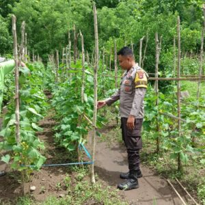 Bhabinkamtibmas Desa Seran Berperan Aktif Dukung Ketahanan Pangan di Sumbawa Barat