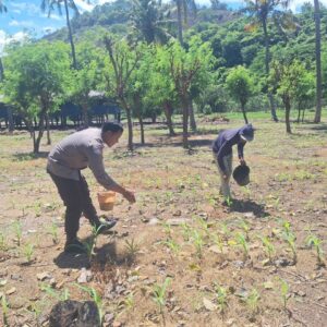 Bhabinkamtibmas Polsek Rhee Sambangi Petani di Desa Luk, Dukung Ketahanan Pangan Nasional