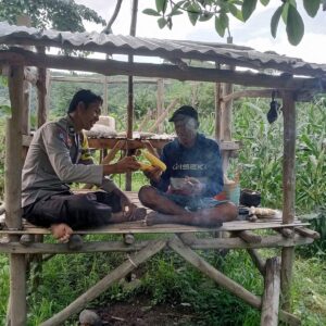 Bhabinkamtibmas Desa Malaju Pantau Perkembangan Tanaman Jagung Warga untuk Dukung Ketahanan Pangan Nasional