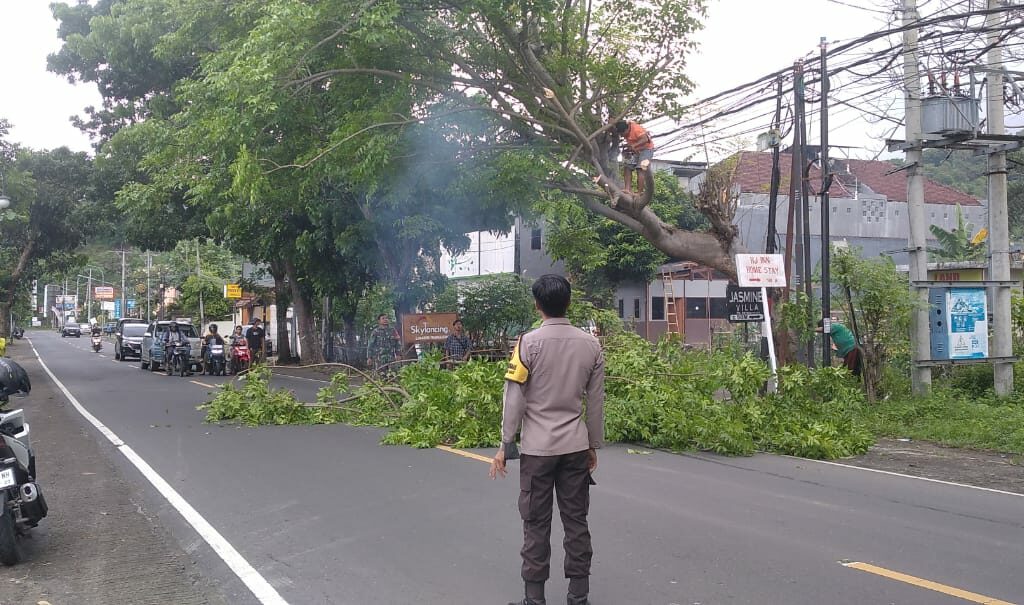 Antisipasi Bahaya, Polsek Batulayar Pangkas Pohon Rawan Tumbang