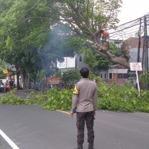 Sinergi Cegah Petaka: Polisi dan Warga Batulayar Amankan Jalan Senggigi