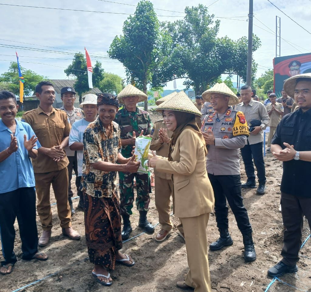 Lombok Barat Gemakan Tanam Jagung Serentak: Dukung Swasembada Pangan Nasional