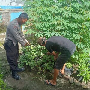 Bhabinkamtibmas Dorotangga Dukung Ketahanan Pangan Nasional melalui Pendampingan Warga