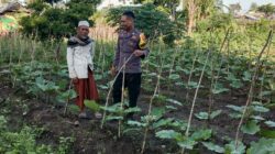 Polri Dukung Ketahanan Pangan, Pantau Persiapan Lahan Warga di Nanga Tumpu