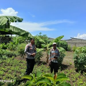 Bhabinkamtibmas Desa Hu’u Laksanakan Pemantauan Lahan Pertanian Warga untuk Mendukung Ketahanan Pangan Nasional