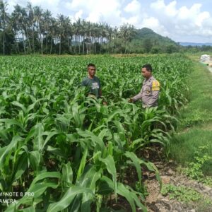 Sinergi Polri dan Masyarakat dalam Pengelolaan Lahan Pertanian Menuju Ketahanan Pangan