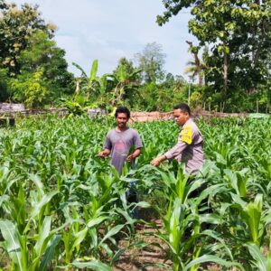 Pemantauan Lahan Pertanian untuk Ketahanan Pangan Nasional, Harapan Menuju Indonesia Emas 2045