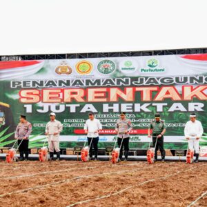 Gerakan 1 Juta Hektare Jagung: Sinergi Polri dan Kementrian Pertanian Wujudkan Swasembada Pangan 2025