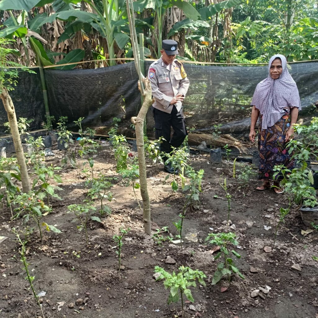 Bhabinkamtibmas Babussalam Aktif Dukung Ketahanan Pangan di Lombok Barat