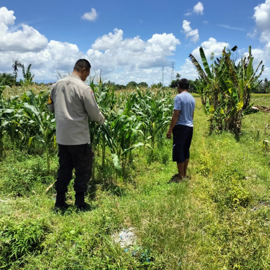 Bhabinkamtibmas Ajak Petani Labuapi Manfaatkan Lahan Kosong