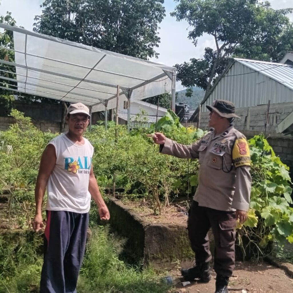 Inovasi Ekobrik: Warga Lembahsari Sulap Pekarangan Jadi Kebun Sayur