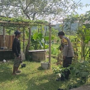 Polsek Batulayar Kawal Ketahanan Pangan dengan Monitoring Lahan Bergizi