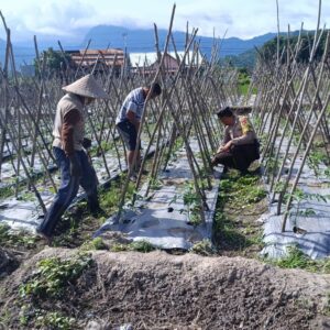 Dukung Ketahanan Pangan, Bhabinkamtibmas Desa Tarusan Sambangi Petani