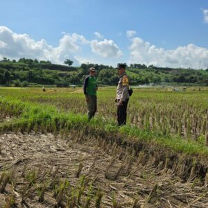 Bhabinkamtibmas Karang Dima Sambangi Petani Dukung Ketahanan Pangan Nasional