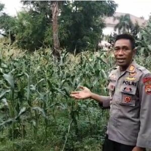 Dukung Ketahanan Pangan, Polsek Rasanae Barat Sulap Lahan Kosong Jadi Kebun Bergizi