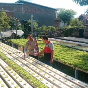 Dukung Ketahanan Pangan, Bhabinkamtibmas Kelurahan Monngonao Monitoring Lahan Pekarangan Bergizi Warga