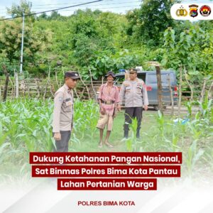 Dukung Ketahanan Pangan Nasional, Sat Binmas Polres Bima Kota Pantau Lahan Pertanian Warga