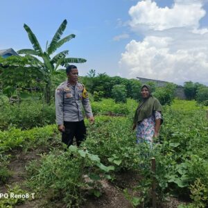 Polsek Hu’u Dukung Ketahanan Pangan, Pantau Lahan Pertanian di Desa Hu’u