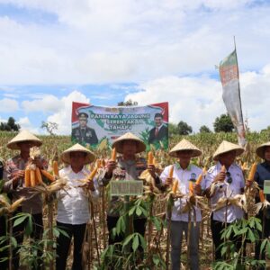 Kapolres Dompu Pimpin Langsung Panen Raya Jagung Serentak 2025: Komitmen Polri dalam Ketahanan Pangan Nasional
