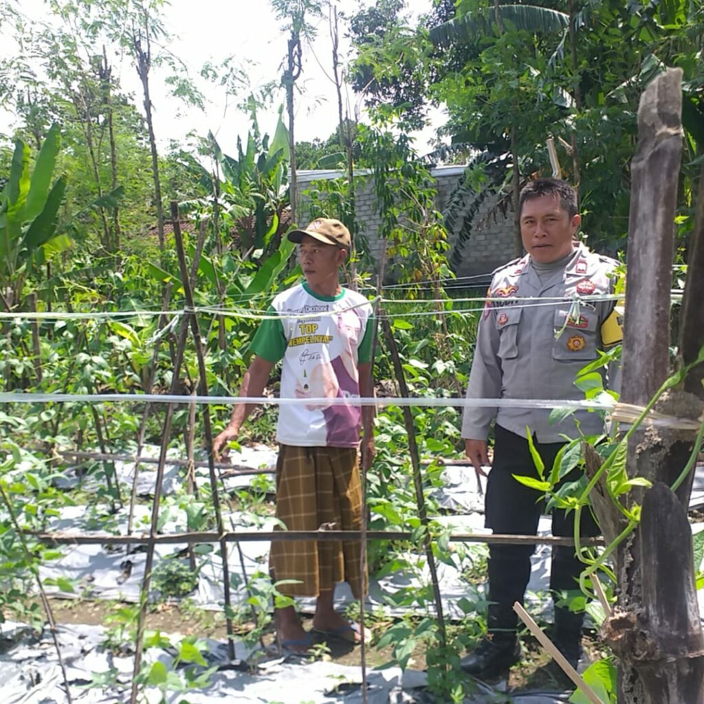 Bhabinkamtibmas Jagaraga Dorong Warga Tanam Sayur di Pekarangan Rumah