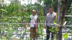 Bhabinkamtibmas Jagaraga Dorong Warga Tanam Sayur di Pekarangan Rumah