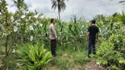Langkah Tak Terduga Bhabinkamtibmas di Labuapi: Sukseskan Ketahanan Pangan Nasional