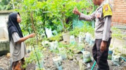 Wujud Ketahanan Pangan, Polres Loteng Masifkan Sosialisasi Pekarangan Bergizi di Tengah Masyarakat