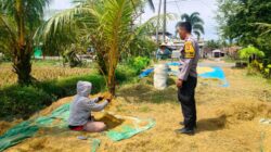 Bhabinkamtibmas Dukung Petani Eyat Mayang, Panen Maksimal!