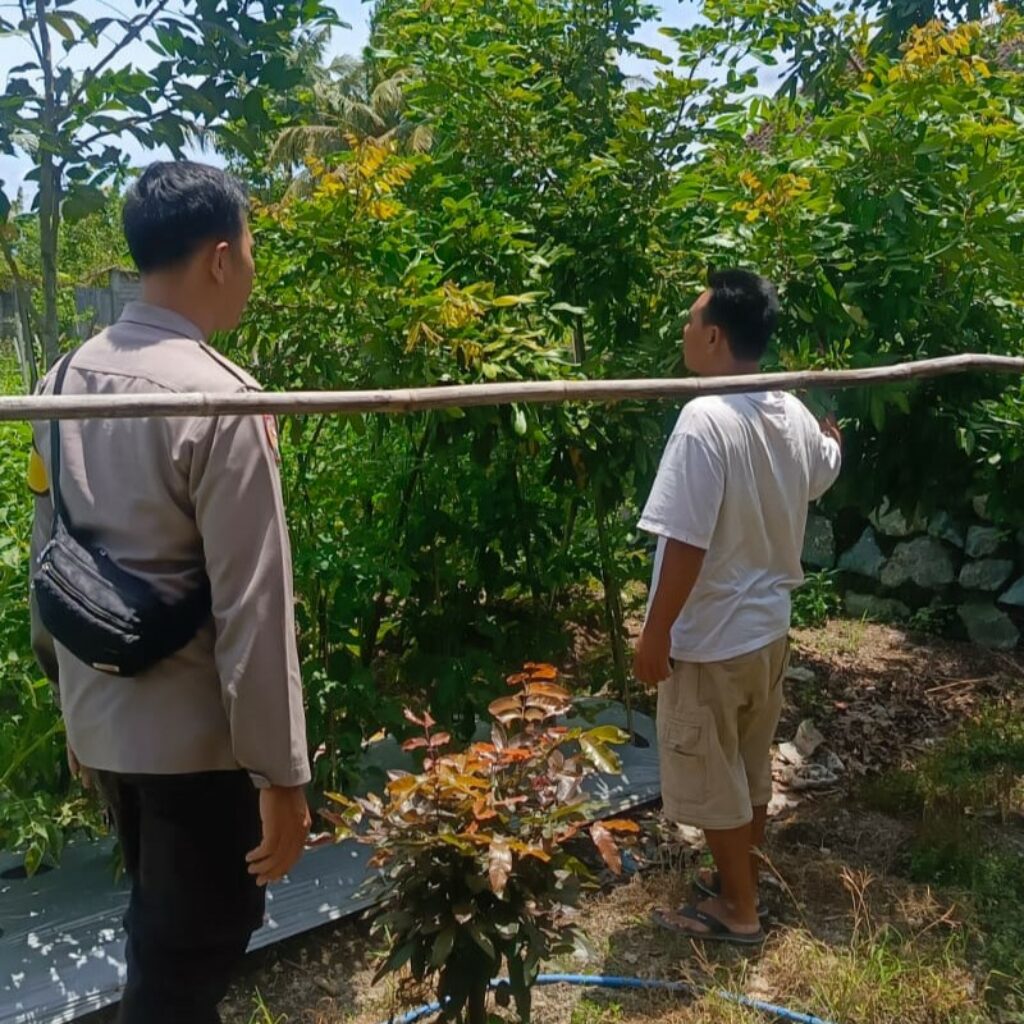 Pekarangan Jadi Sumber Pangan, Kapolsek Labuapi Beri Dukungan Warga