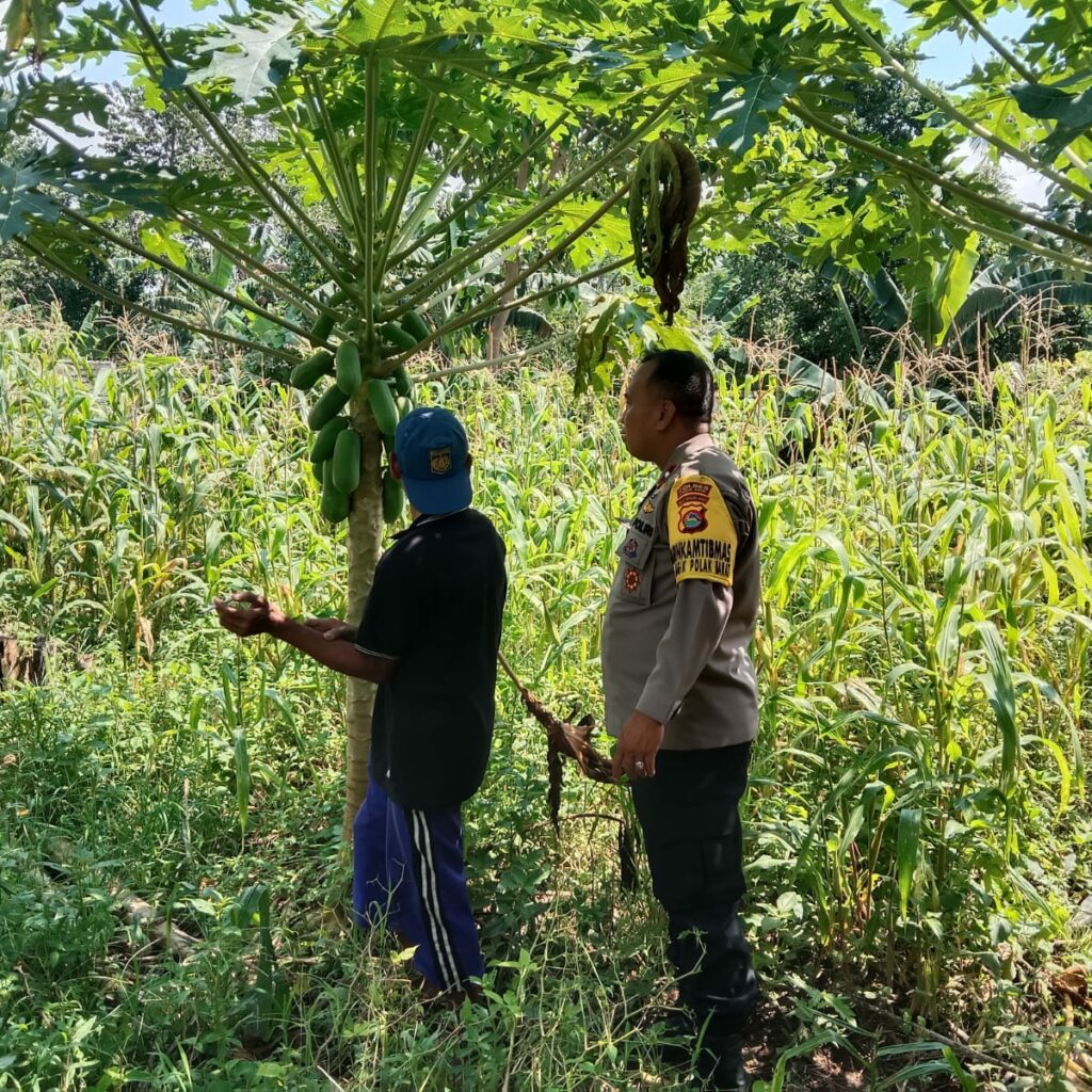 Motivasi Petani! Bhabinkamtibmas Labuapi Turun ke Lapangan