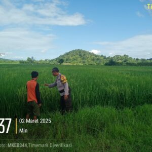Bhabinkamtibmas Polsek Lape Sambangi Petani, Dukung Ketahanan Pangan Nasional