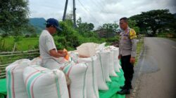 Bhabinkamtibmas Desa Ranggo Monitoring Lahan Jagung, Dukung Program Ketahanan Pangan Nasional