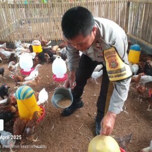 Bhabinkamtibmas Jagaraga Dorong Ketahanan Pangan Lewat Kunjungan ke Peternak